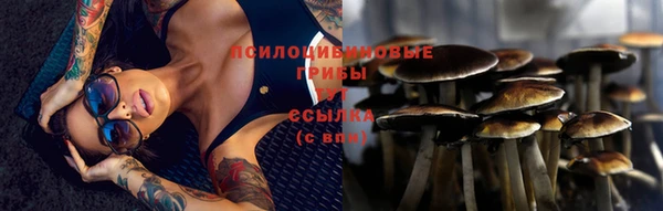 ALPHA-PVP Алексеевка