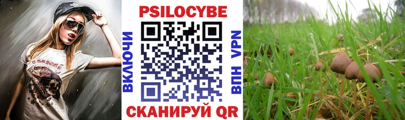 магазин  наркотиков  Андреаполь  блэк спрут рабочий сайт  Галлюциногенные грибы Psilocybine cubensis 